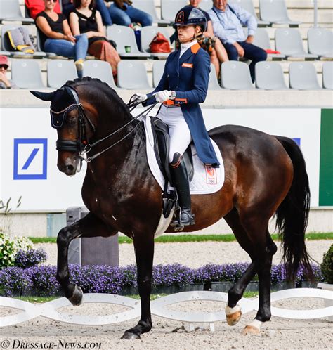 toppaard hermes|Dinja van Liere Dressage reed haar toppaard Hermès .